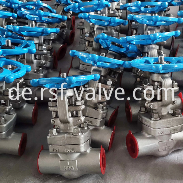 Api602 F304l Gate Valve